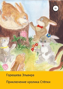 Эльвира Горюшева Приключения кролика Стёпки обложка книги