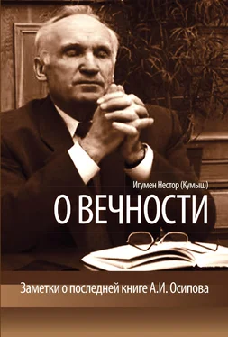 Игумен Нестор (Кумыш) О вечности. Заметки о последней книге А.И.Осипова обложка книги