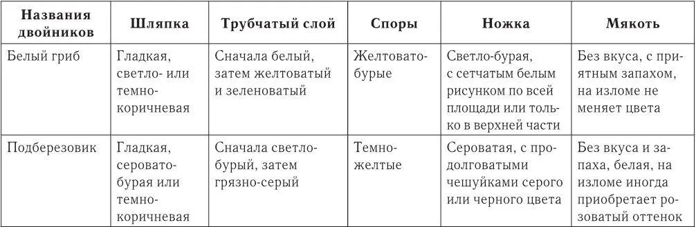 Внешнее сходство грибовдвойников кажется абсолютным только на первый взгляд - фото 1