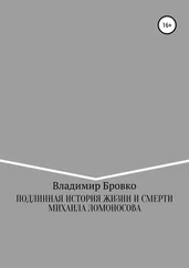 Владимир Бровко - Подлинная история жизни и смерти Михаила Ломоносова