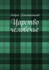 Андрей Константинов - Царство человечье