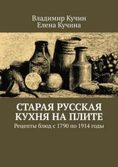 Владимир Кучин - Старая русская кухня на плите. Рецепты блюд с 1790 по 1914 годы