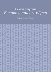 Семён Ешурин - Великолепная семёрка. Репродуктивная сборная