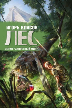 Игорь Власов Лес обложка книги