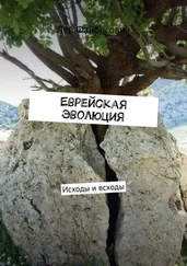 Лев Файбисович - Еврейская эволюция. Исходы и всходы