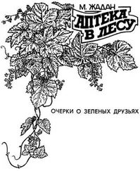 Максим Жадан - Аптека в лесу