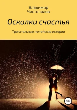 Владимир Чистополов Осколки счастья обложка книги