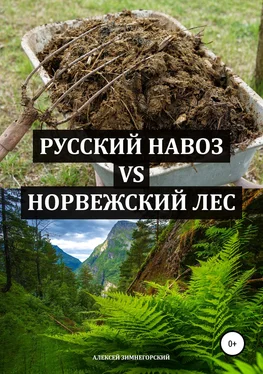 Алексей Зимнегорский Русский навоз vs Норвежский лес обложка книги