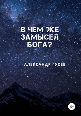 Александр Гусев В чем же замысел Бога? обложка книги