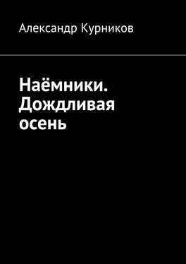 Александр Курников Дождливая осень обложка книги