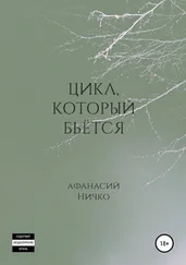Афанасий Ничко - Цикл, который бьётся