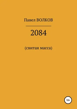 Павел Волков 2084 (свитая масса) обложка книги