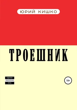 Юрий Кишко Троешник обложка книги