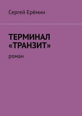 Сергей Ерёмин Терминал «Транзит». Роман обложка книги