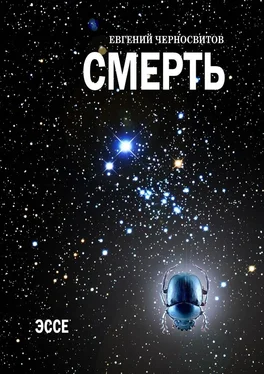 Евгений Черносвитов Смерть. Эссе