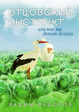 Вадим Фёдоров Отцовский инстинкт или как мы детей делали обложка книги