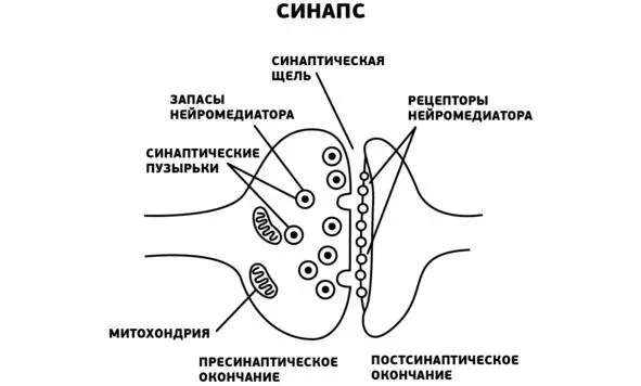 У разных людей имеется разный физический и эмоциональный болевой порог Один - фото 4