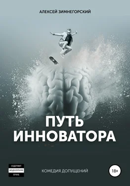 Алексей Зимнегорский Путь инноватора обложка книги