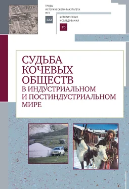 Коллектив авторов Судьба кочевых обществ в индустриальном и постиндустриальном мире обложка книги