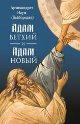 архимандрит Наум (Байбородин) - Адам ветхий и Адам Новый