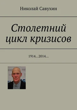 Николай Савухин Столетний цикл кризисов. 1914…2014… обложка книги