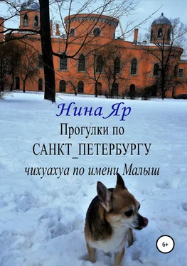 Нина Яр Прогулки по Санкт-Петербургу обложка книги