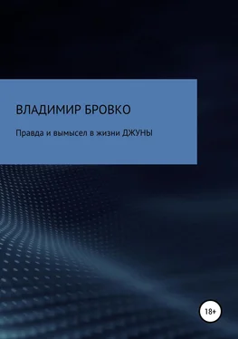 Владимир Бровко Правда и вымысел в жизни ДЖУНЫ обложка книги