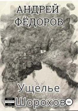 Андрей Фёдоров Ущелье Шорохов обложка книги