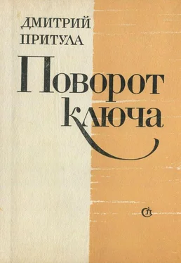 Дмитрий Притула Поворот ключа обложка книги
