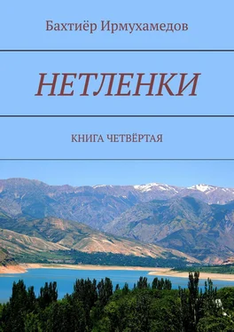 Бахтиёр Ирмухамедов Нетленки. Книга четвёртая обложка книги