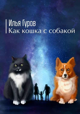 Илья Гуров Как кошка с собакой обложка книги