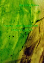 Дмитрий Коваль - Чудеса у меня под ногами. Очерки о находках