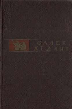 Садек Хедаят Стервятники обложка книги