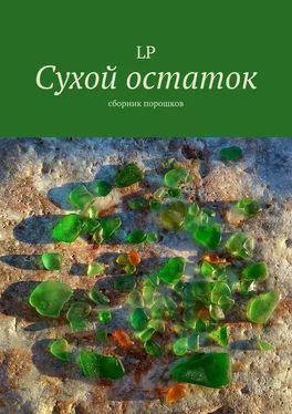 LP Сухой остаток. Сборник порошков обложка книги