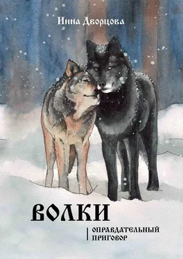 Инна Дворцова Волки. Оправдательный приговор обложка книги