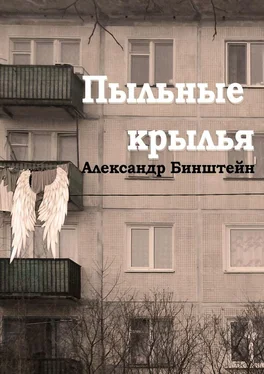 Александр Бинштейн Пыльные крылья обложка книги