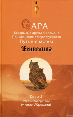 Джерри Хикс Сара. Книга 2. Бескрылые друзья Соломона. Приключения в мире мудрости. Путь к счастью обложка книги