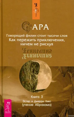 Джерри Хикс Сара. Книга 3. Говорящий филин стоит тысячи слов. Как пережить приключения, ничем не рискуя обложка книги