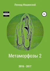 Леонид Машинский - Метаморфозы 2