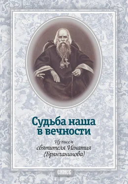 Святитель Игнатий (Брянчанинов) Судьба наша в вечности. Из писем святителя Игнатия (Брянчанинова) обложка книги