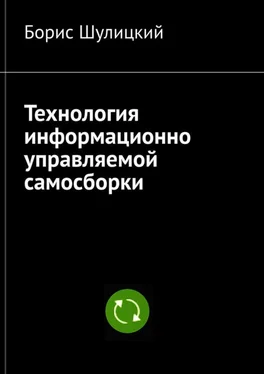 Борис Шулицкий Технология информационно-управляемой самосборки обложка книги