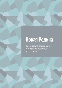 Алексей Фёдоров Новая Родина. Жизнь стругокрасненских эстонцев-переселенцев в XIX–XX вв. обложка книги