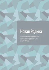 Алексей Фёдоров - Новая Родина. Жизнь стругокрасненских эстонцев-переселенцев в XIX–XX вв.