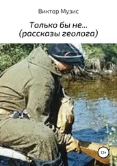 Виктор Музис - Только бы не…