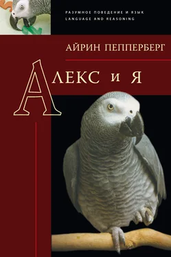 Айрин Пепперберг Алекс и я обложка книги