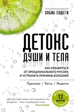 Хабиб Садеги Детокс души и тела. Как избавиться от эмоционального мусора и устранить причины болезней обложка книги