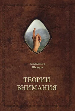 Александр Шевцов Теории внимания обложка книги