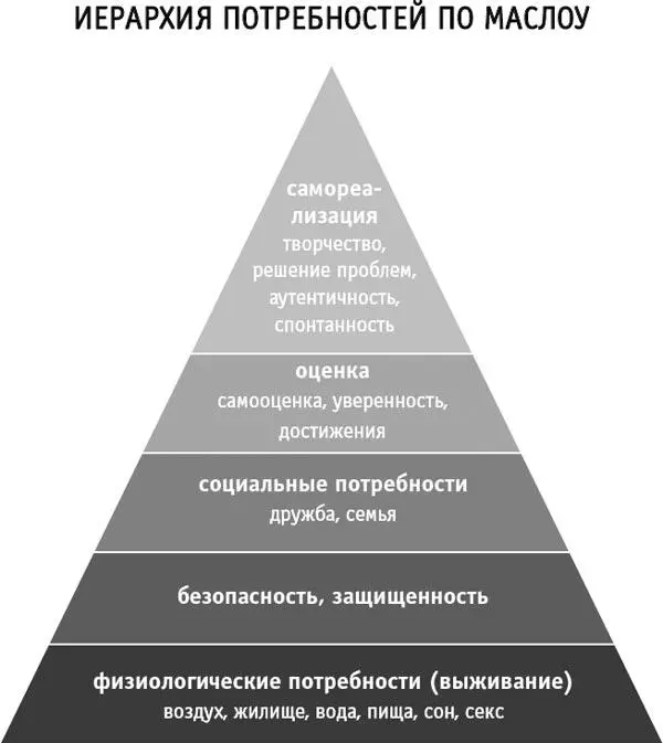 Рис 21 Пирамида самореализации Мы видим замечательную синхронность между - фото 8