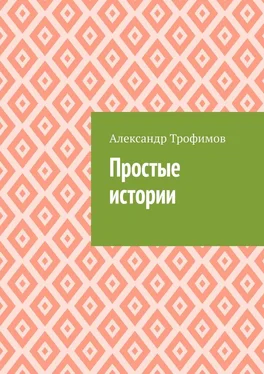 Александр Трофимов Простые истории обложка книги