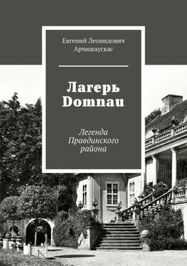 Евгений Арчишаускас Лагерь Domnau. Легенда Правдинского района обложка книги